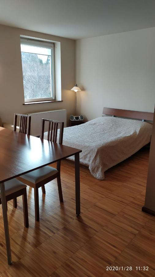 Zawoja1560 Apartamenty Przy Aptece Exteriér fotografie